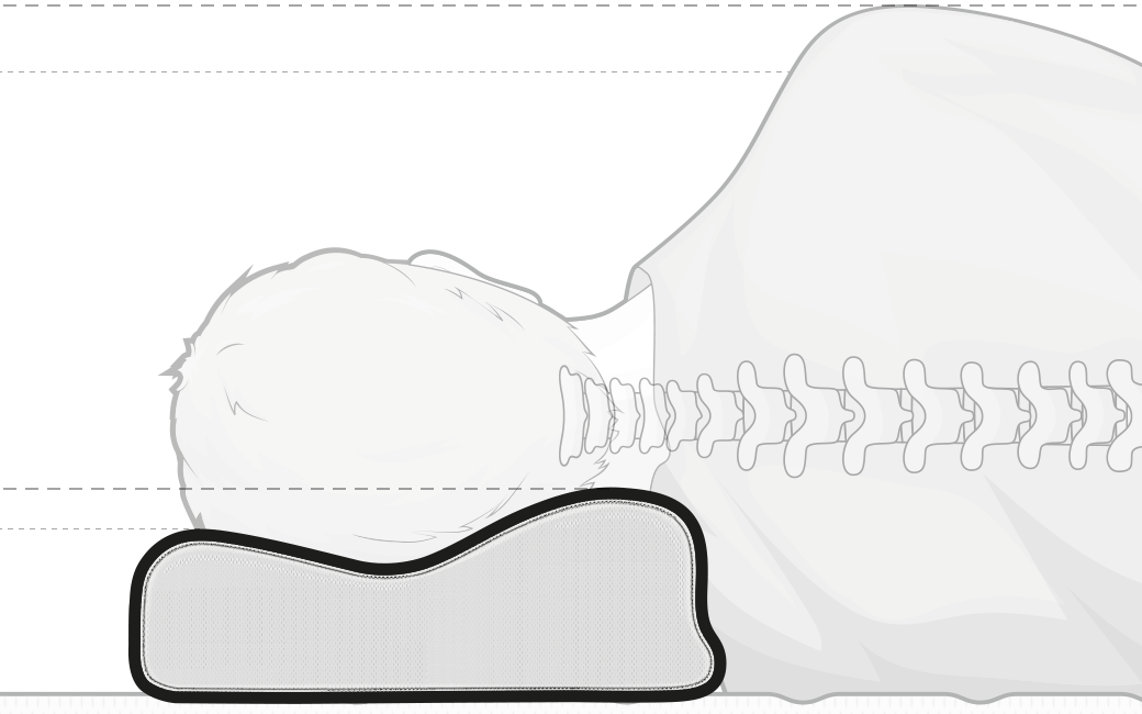  Ilustración de la almohada cervical BODYGUARD destacando cómo alinea correctamente el cuello y la cabeza para proporcionar apoyo adecuado durante el sueño.
