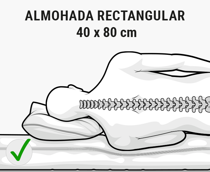 Ilustración: una persona tumbada sobre una almohada, con la columna vertebral hacia dentro y recta. Texto: Cojín confort 40x80 cm